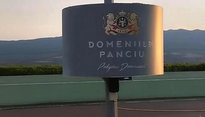 Cramele Panciu - Panciu