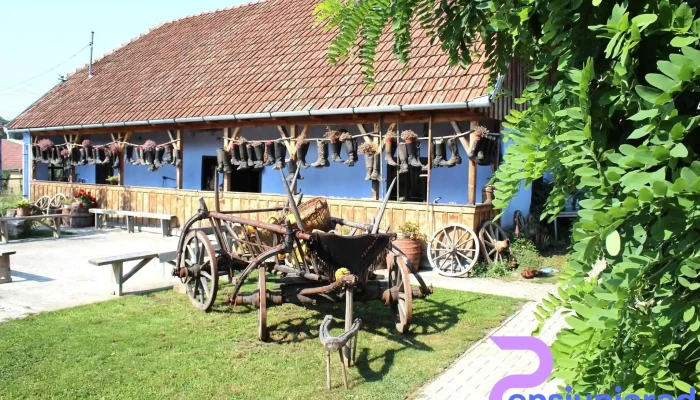 Csipkeszeg Bed Breakfast Tanchaz And Museum Sicszek Romania Cabana - Sic