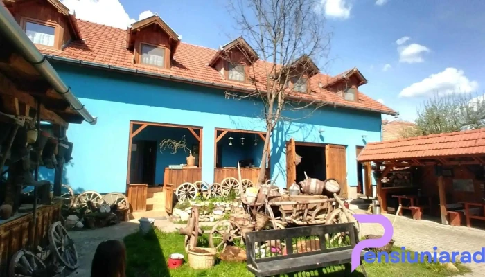 Csipkeszeg Bed Breakfast Tanchaz And Museum Sicszek Romania De La Vizitatori - Sic