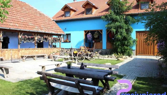 Csipkeszeg Bed Breakfast Tanchaz And Museum Sicszek Romania Deschis Acum - Sic