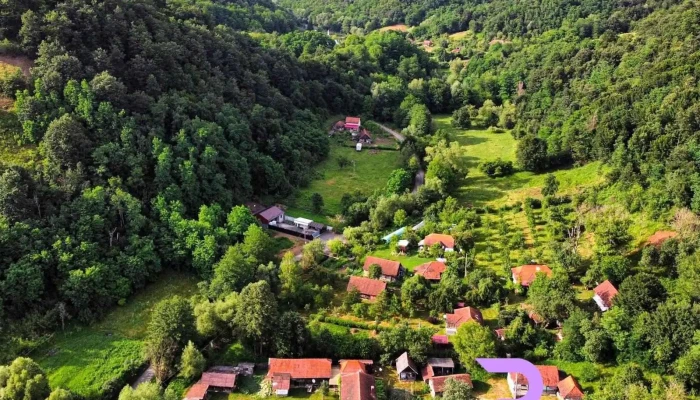Căminul cultural - Furcșoara 337109
