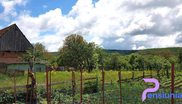Căpușu Mare - Căpușu Mare