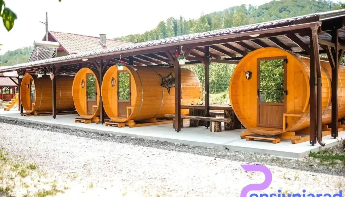 Căsuțele Vânătorului - Moneasa