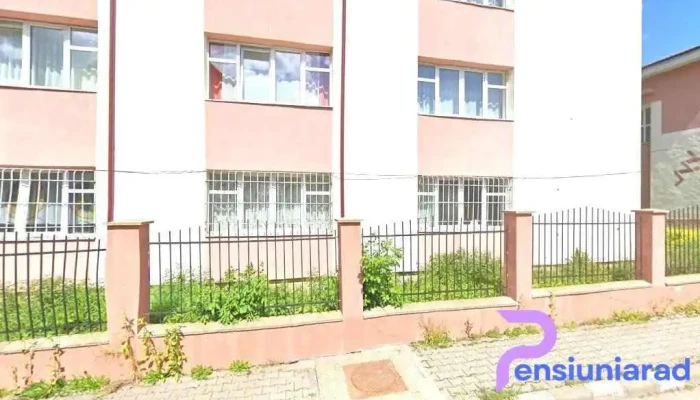 Dalin - Abrud 515100