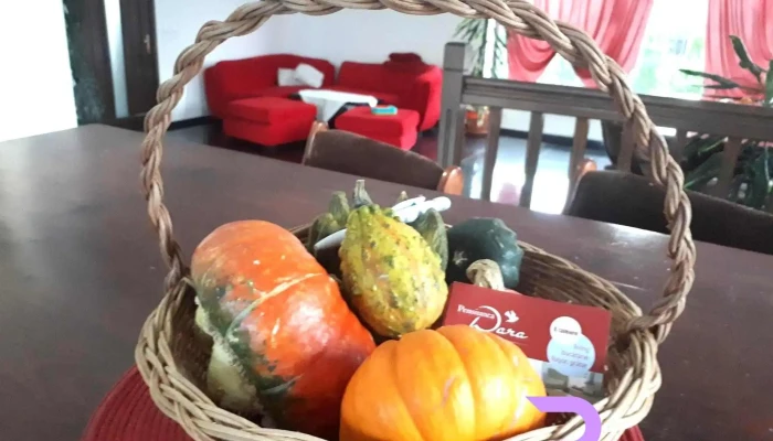 Dara -  Mancaruribauturi - Râșnov