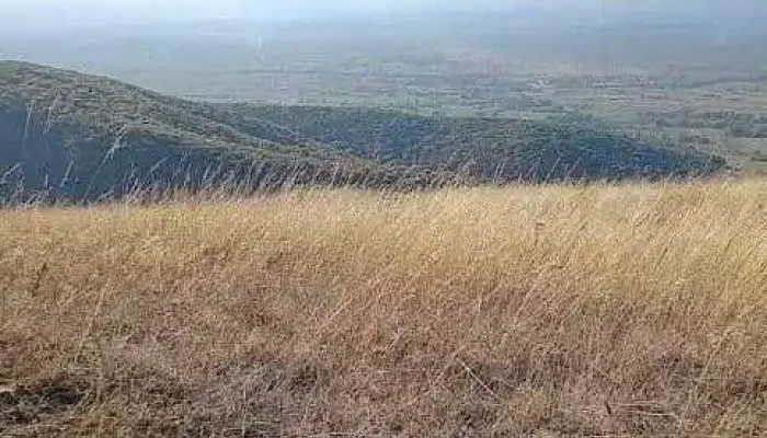 Dobarlau - Dobârlău