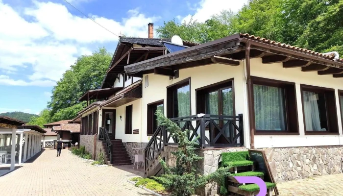 Domeniul Dambu Morii De La Vizitatori - Timișu De Jos