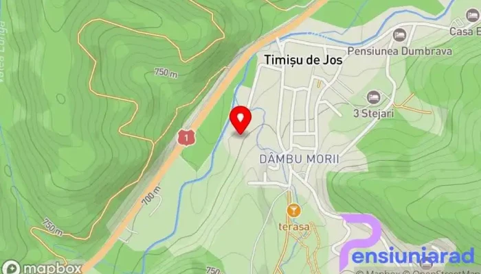 Domeniul Dambu Morii Hartă - Timișu De Jos