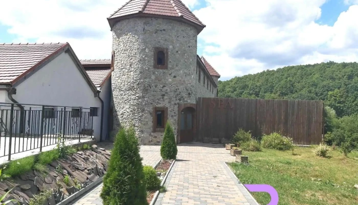 Domeniul Regilor -  De La Vizitatori - Ciurila