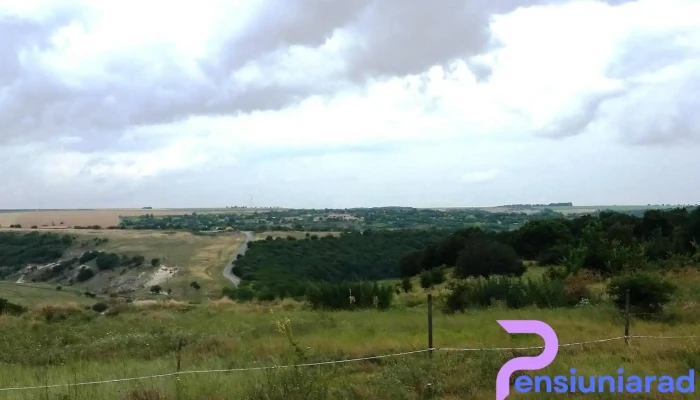 Dumbrăveni - Dumbrăveni