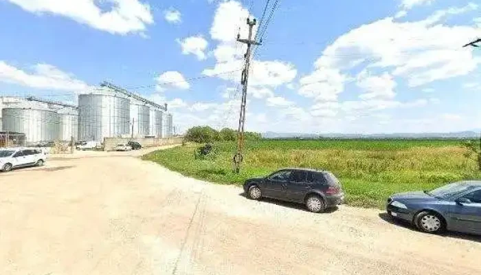 Europig Sa -  Reduceri - Șercaia