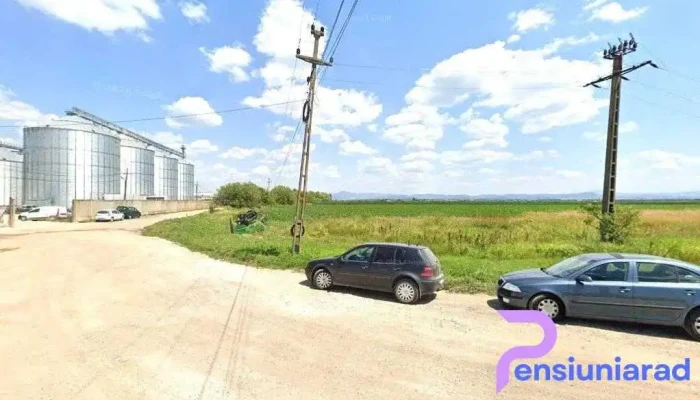 Europig Sa - Șercaia