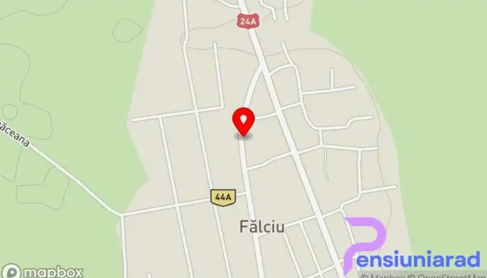 Falciu -  Hartă - Fălciu