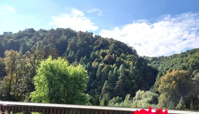 Garden Cafe -  Telefon - Chinteni