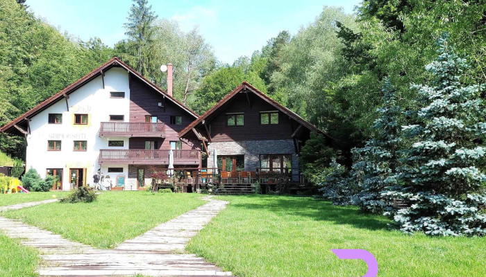 Gasthaus Grindeshti -  De La Vizitatori - Caras Severin