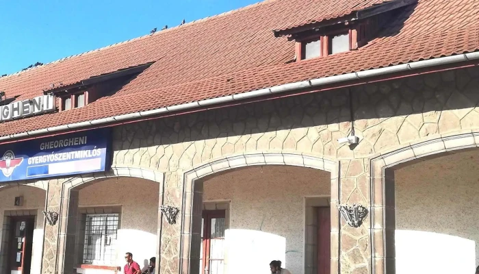 Gheorgheni Gyergyoszentmiklos Zonă - Gheorgheni