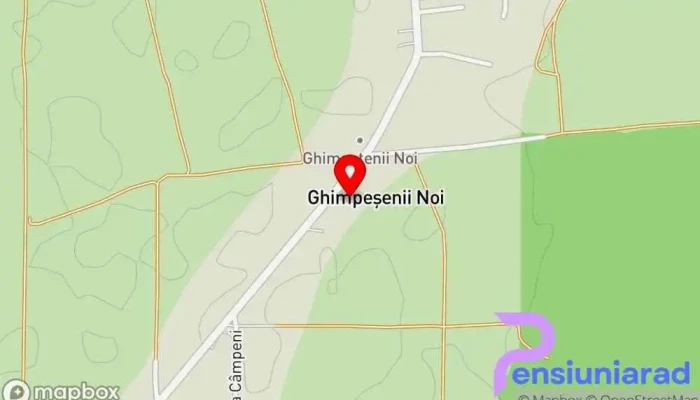 Ghimpețenii Noi - Ghimpețenii Noi