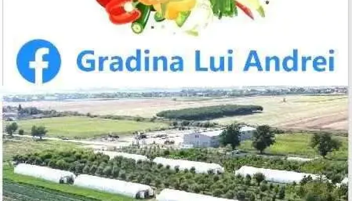 Gradia Lui Andrei -  Adresă - Zimandu Nou