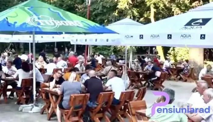 Gradina Banateana Buzias -  De La Proprietar - Buziaș