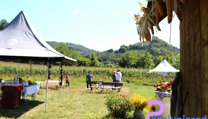 Gradinile Malancrav Gradina - Mălâncrav