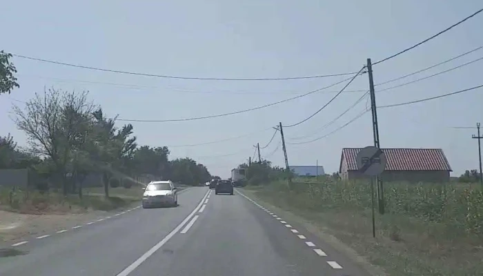 Halaucesti Videoclipuri - Hălăucești