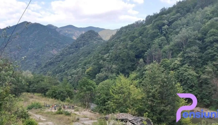 Han -  Punct De Belvedere - Călimănești