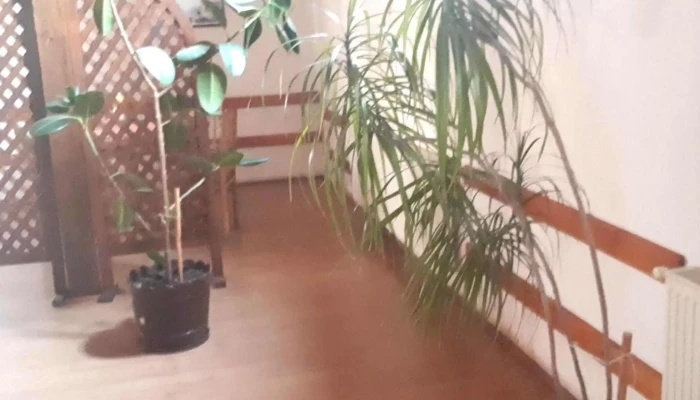 Hanul Arcasului Deschis Acum - Voila