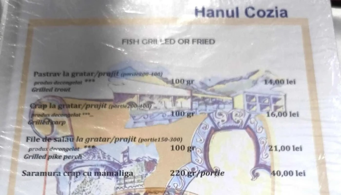Hanul Cozia -  Reduceri - Căciulata