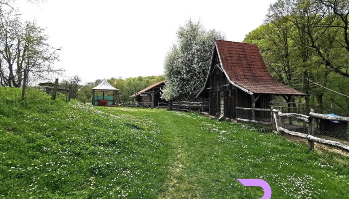 Hanul Din Padure Cabana - Stejăreni