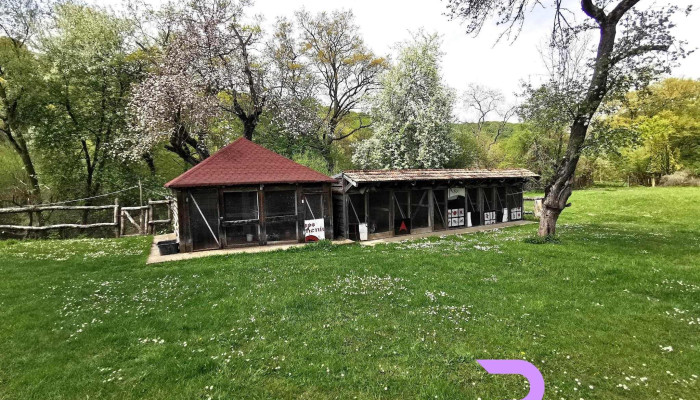 Hanul Din Padure Exterior - Stejăreni