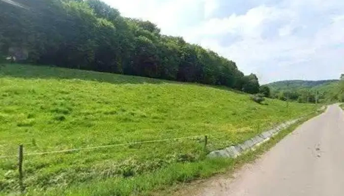 Hanul Din Padure Street View Si 360deg - Stejăreni