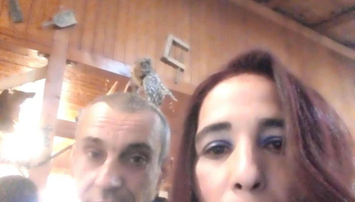 Hanul Lui Nicusor Reduceri - Pomârla