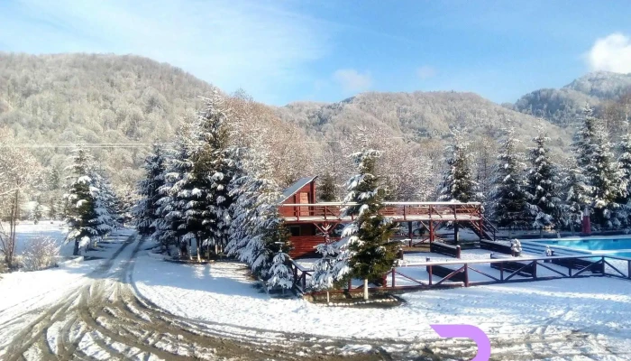 Hanul Lupilor Wolves Inn De La Vizitatori - Râșnov
