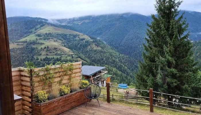 Hilltop Maguri -  De La Vizitatori - Măguri
