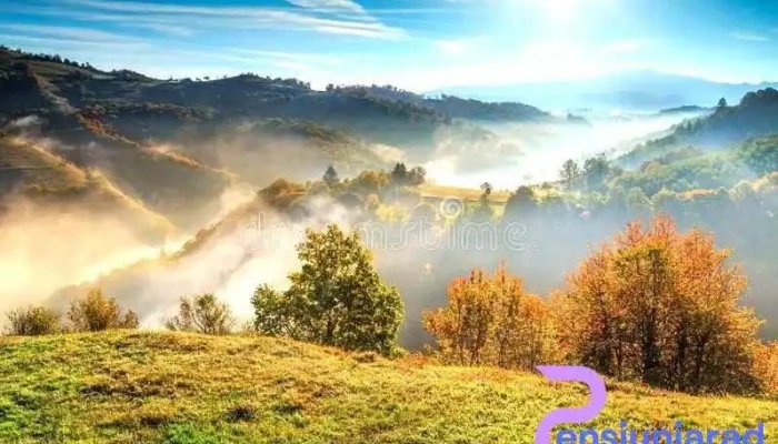Holbav -  Adresă - Holbav