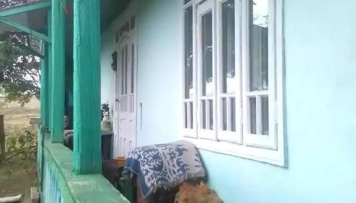 Horlești - Horlești