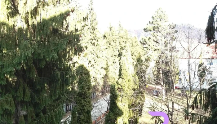 Hotel Alice -  De La Vizitatori - Băile Olănești