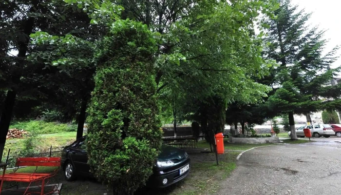Hotel Codru Moma -  Street View Si 360deg - Moneasa