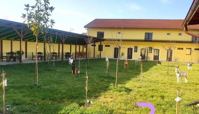 Hotel Geas I Prețuri - Caransebeș