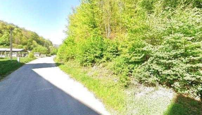 Hotel Moneasa -  Street View Si 360deg - Moneasa