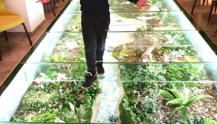 Hotel Olanesti -  Videoclipuri - Băile Olănești