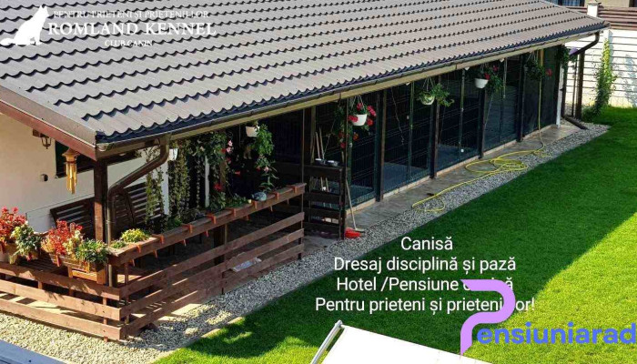 Hotel pentru caini, pensiune canina, Canisa Romland - Berceni 077020