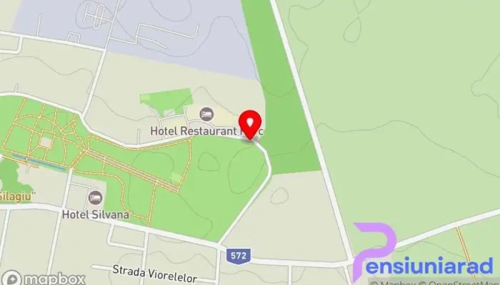 Hotel Restaurant Parc -  Hartă - Buziaș
