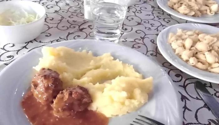 Hotel Restaurant Parc -  Mancaruribauturi - Buziaș