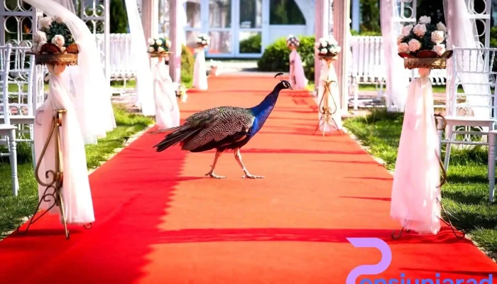 Hotel Roco - Izvin
