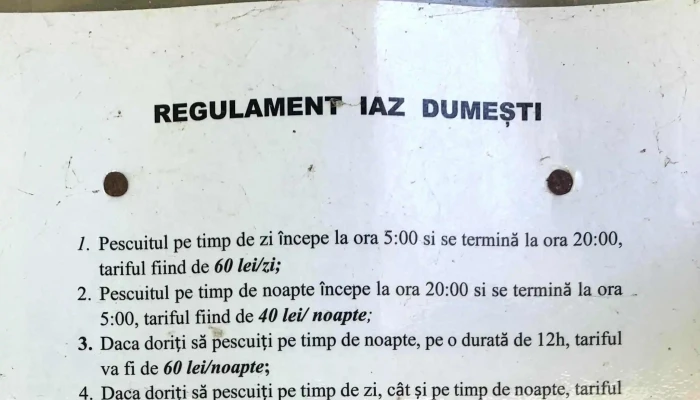 Iaz Dumesti -  Fotografii - Dumești