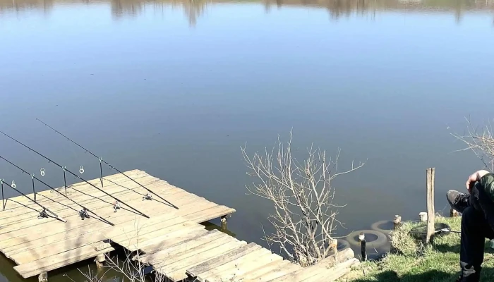 Iaz Dumesti -  Instagram - Dumești