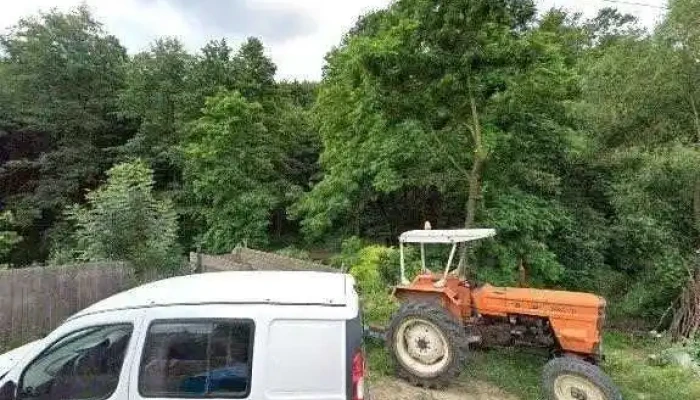 In Poiana Program - Fulgeriș
