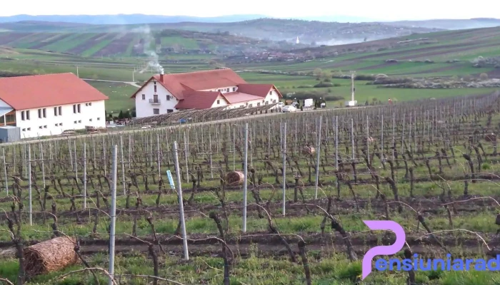 Kemsilvanum -  Fort Silvan De La Vizitatori - Camăr