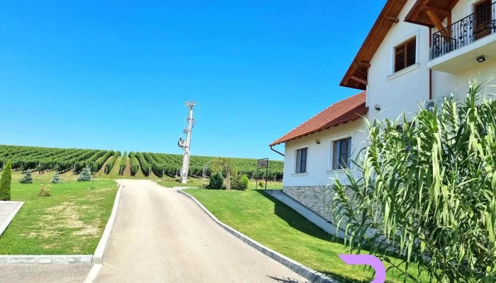 Kemsilvanum -  Fort Silvan Scor - Camăr